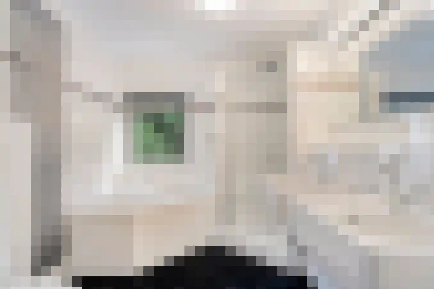 Grassnip 2 Eindhoven thumbnail 21