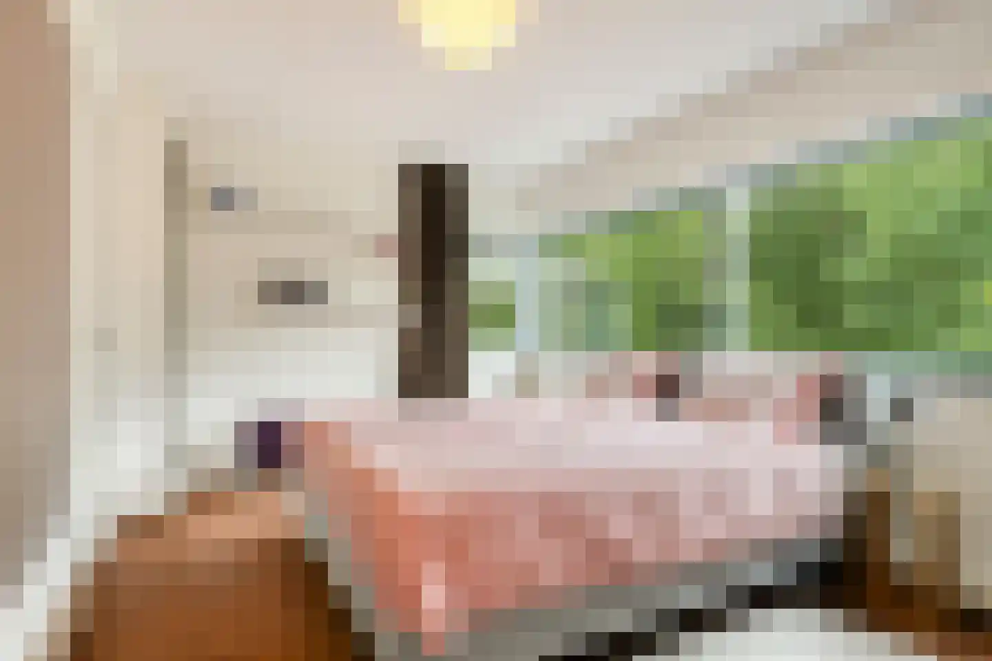 Grassnip 2 Eindhoven thumbnail 27