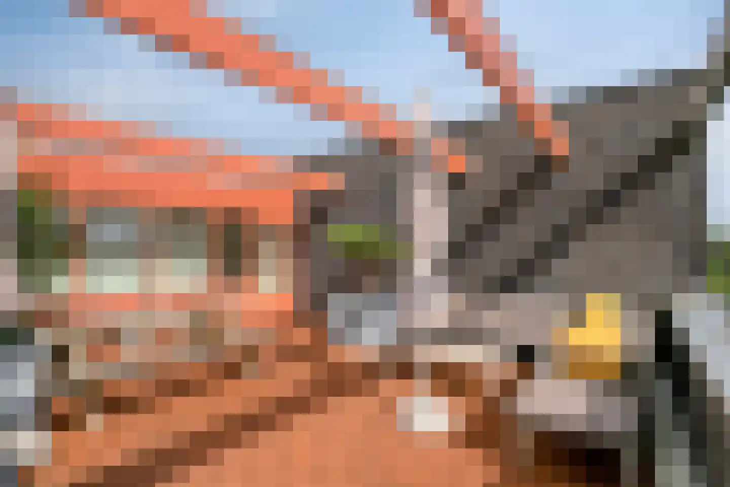 Grassnip 2 Eindhoven thumbnail 32