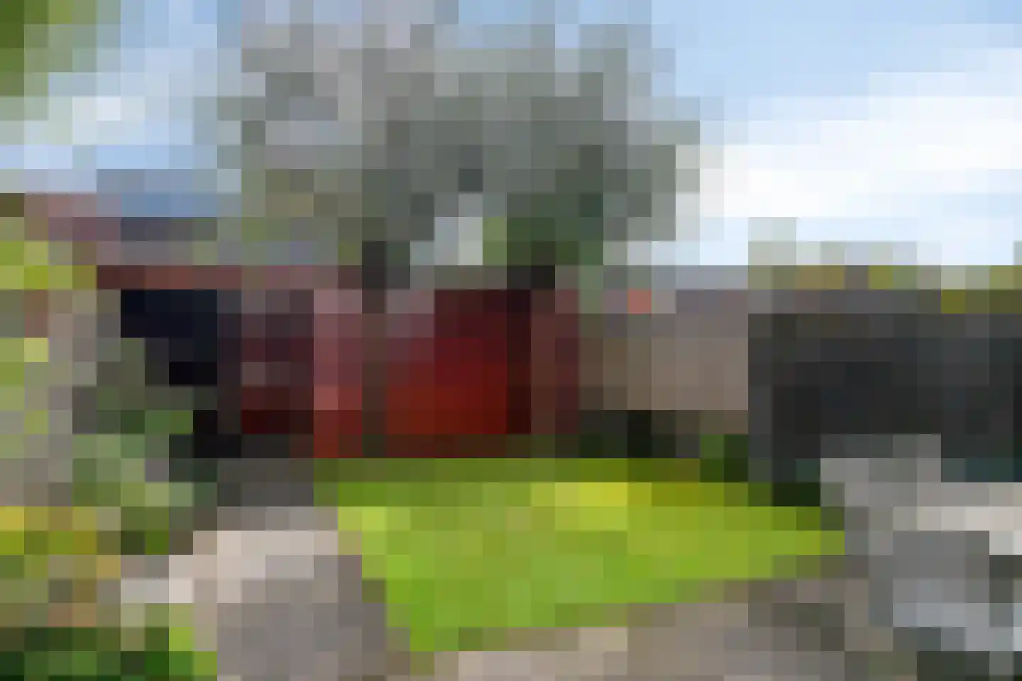 Grassnip 2 Eindhoven thumbnail 36