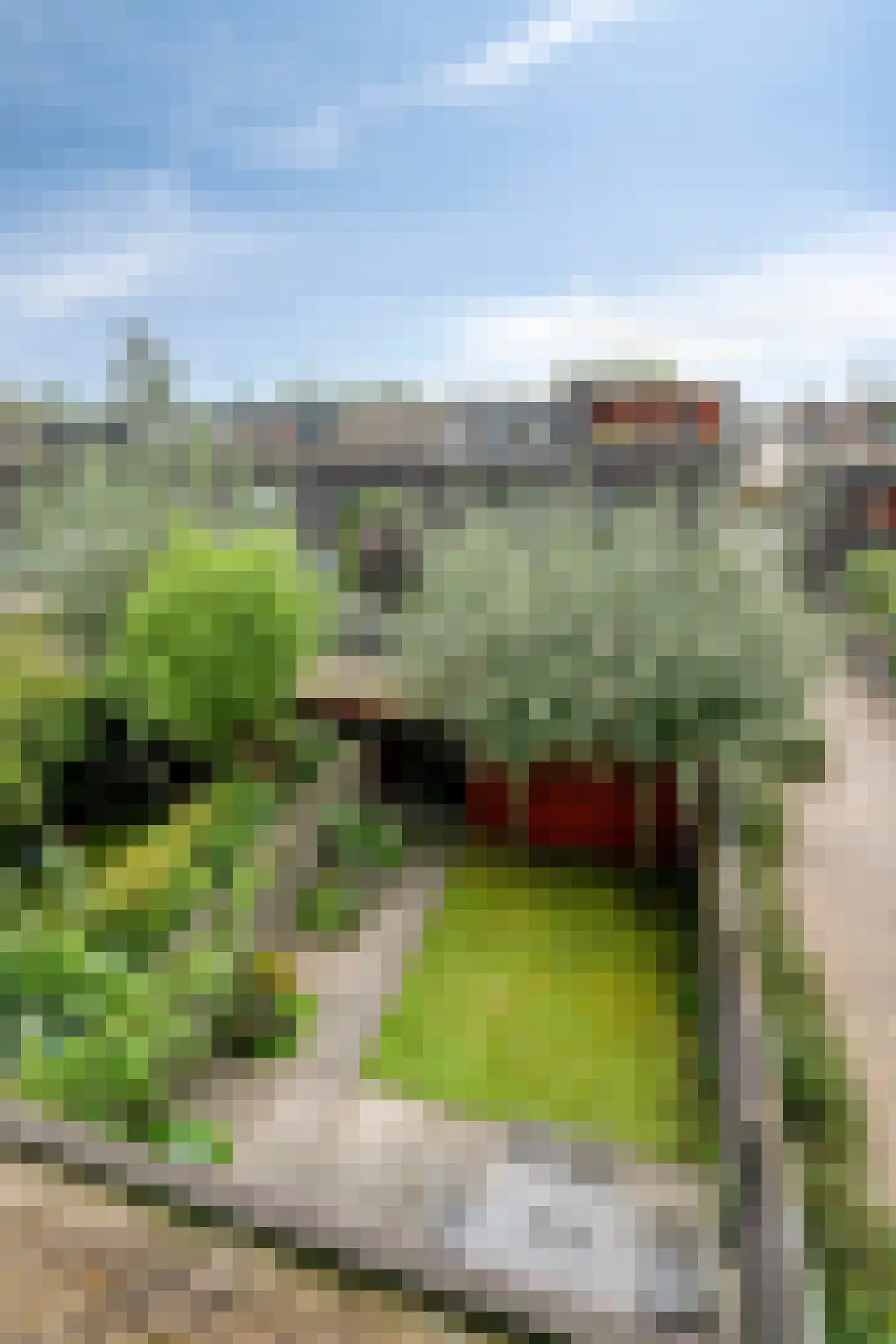 Grassnip 2 Eindhoven thumbnail 41