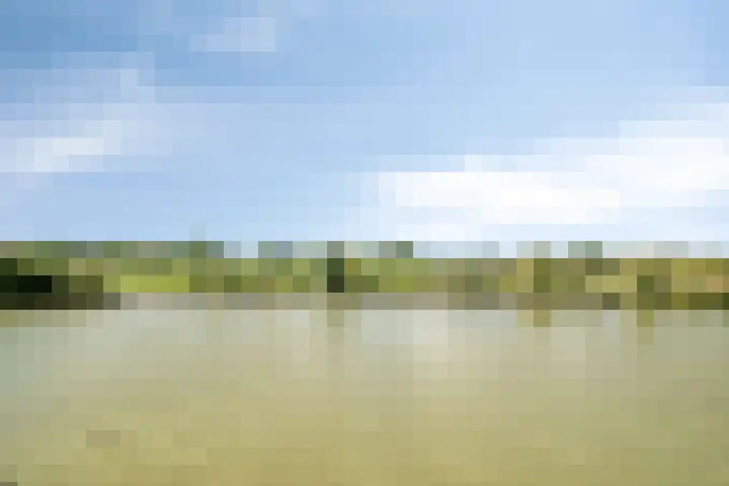 Grassnip 2 Eindhoven thumbnail 44