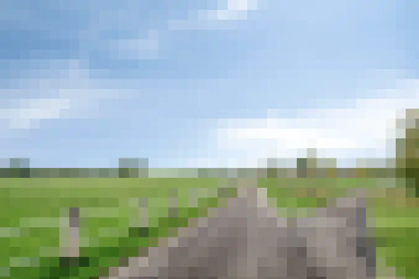 Grassnip 2 Eindhoven thumbnail 45