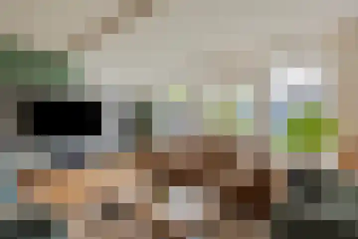 Grassnip 38 Eindhoven thumbnail 19