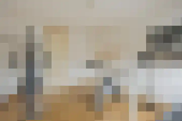 Grassnip 38 Eindhoven thumbnail 34