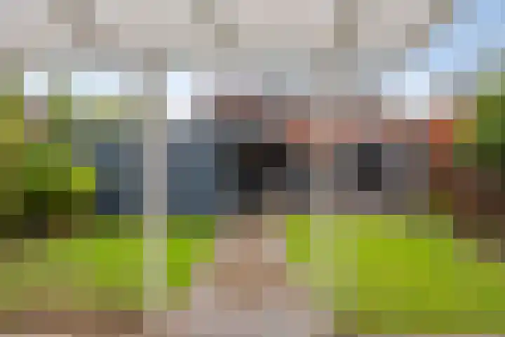 Grassnip 38 Eindhoven thumbnail 45