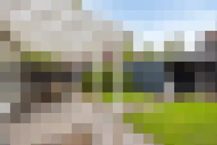Grassnip 38 Eindhoven thumbnail 46