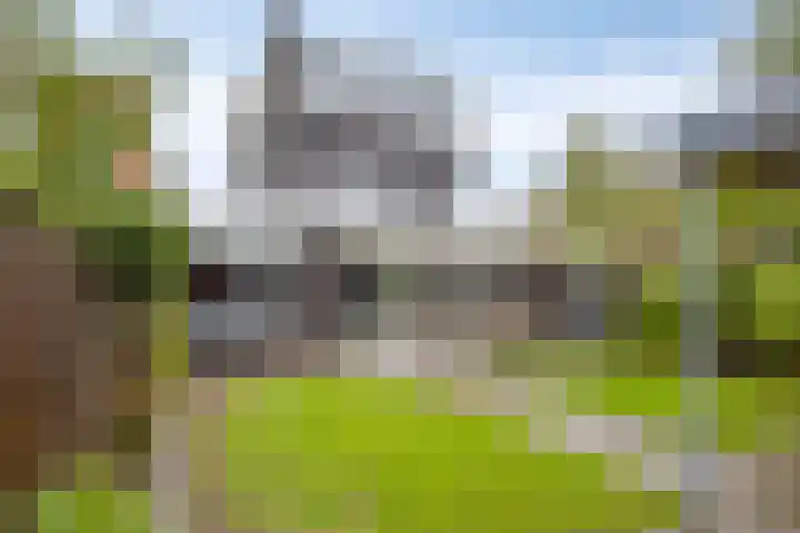 Grassnip 38 Eindhoven thumbnail 48