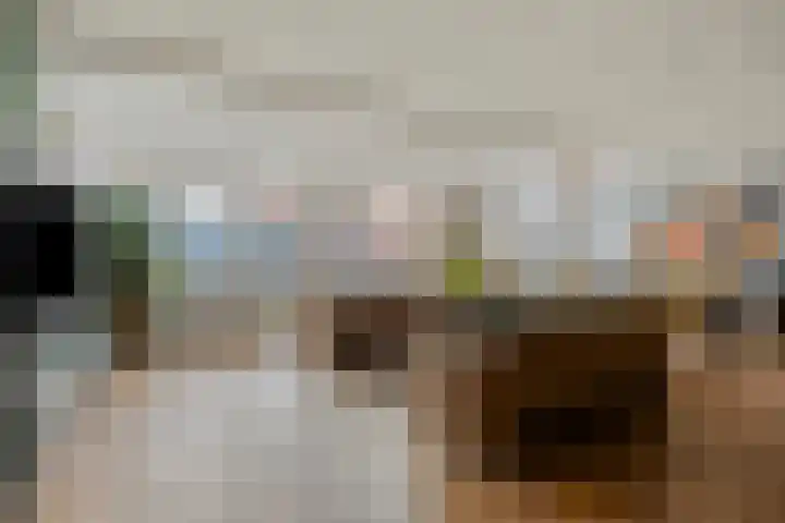 Grassnip 38 Eindhoven thumbnail 9