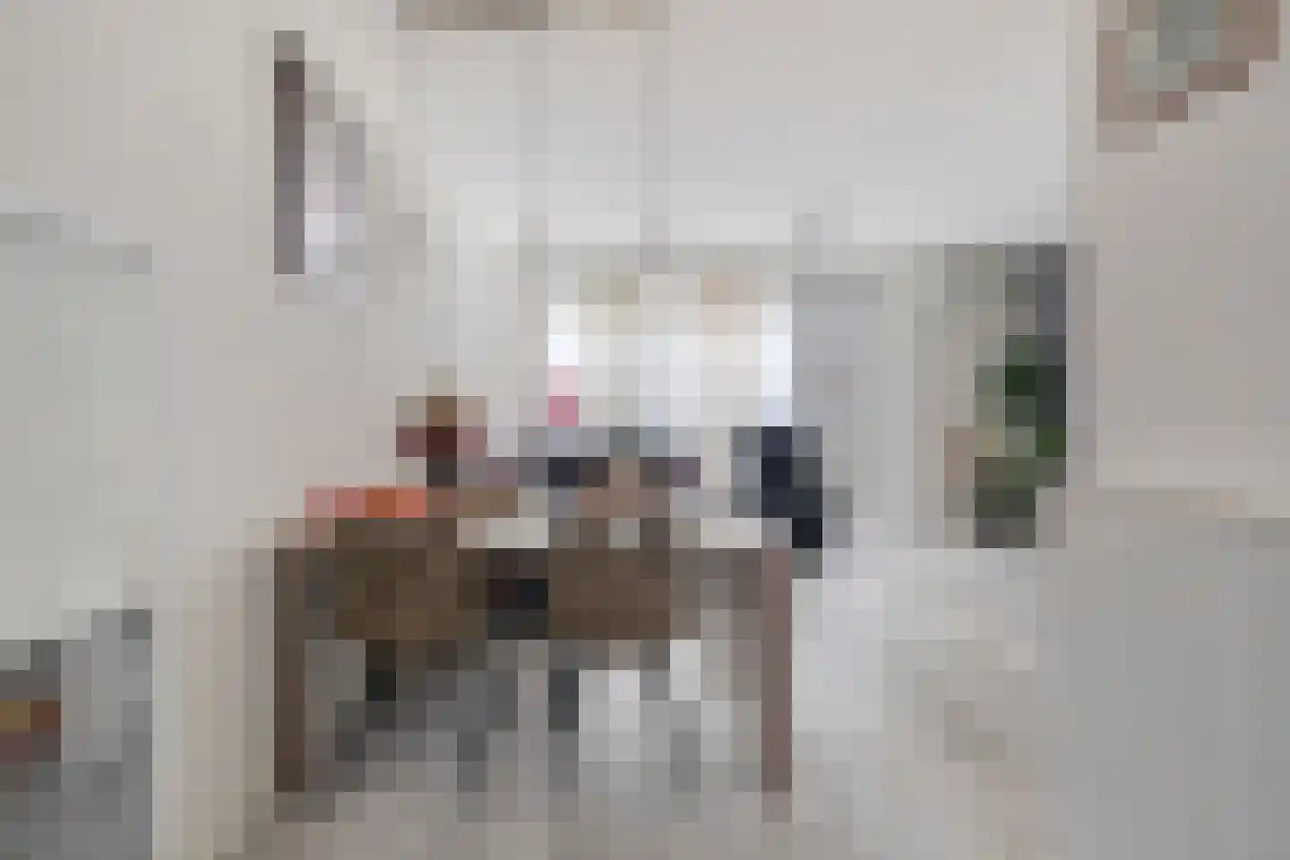Grassteppe 12 Eindhoven thumbnail 11