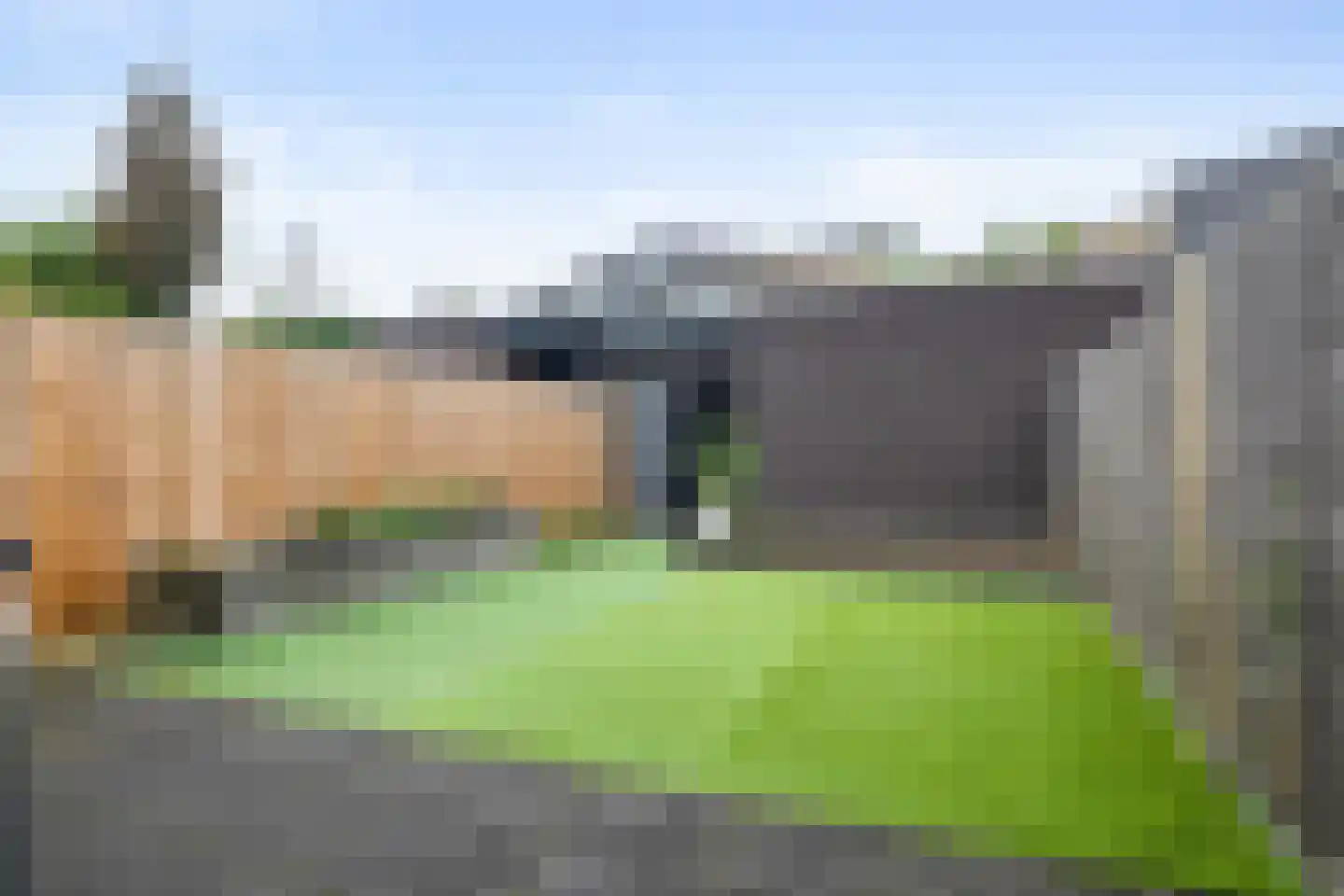 Grassteppe 12 Eindhoven thumbnail 26
