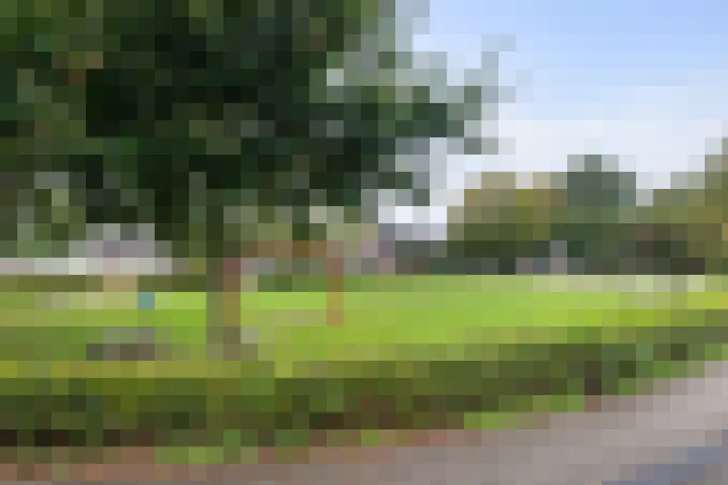 Grassteppe 12 Eindhoven thumbnail 29
