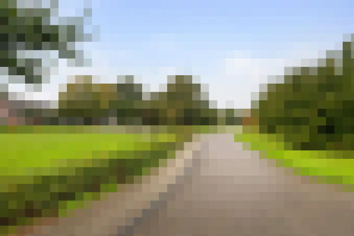 Grassteppe 12 Eindhoven thumbnail 30