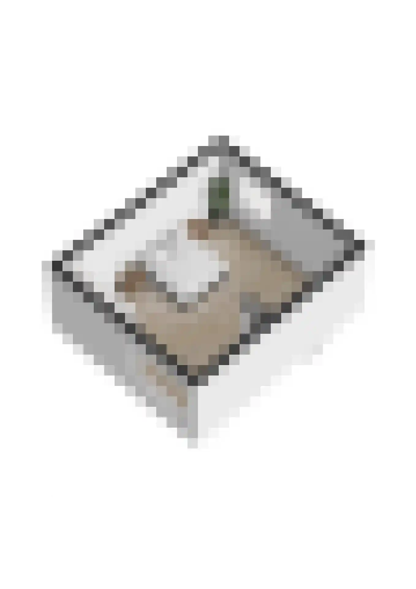Grassteppe 12 Eindhoven thumbnail 36