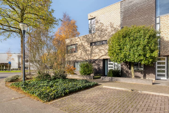 Grassteppe 2 dans Eindhoven photo