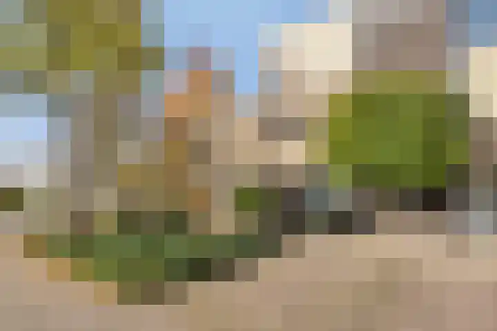 Grassteppe 2 Eindhoven