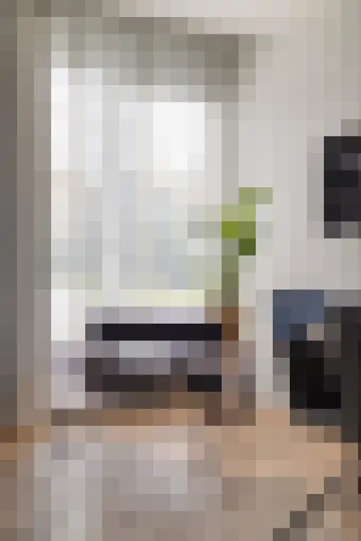 Grassteppe 2 Eindhoven thumbnail 19
