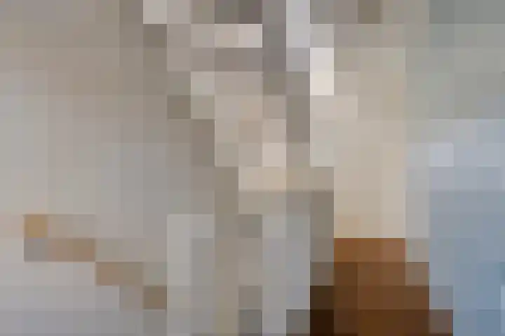 Grassteppe 2 Eindhoven thumbnail 25