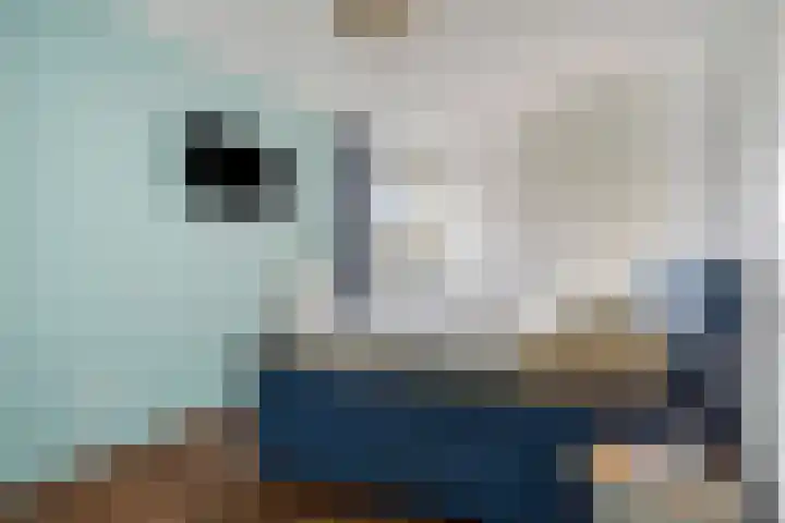 Grassteppe 2 Eindhoven thumbnail 26