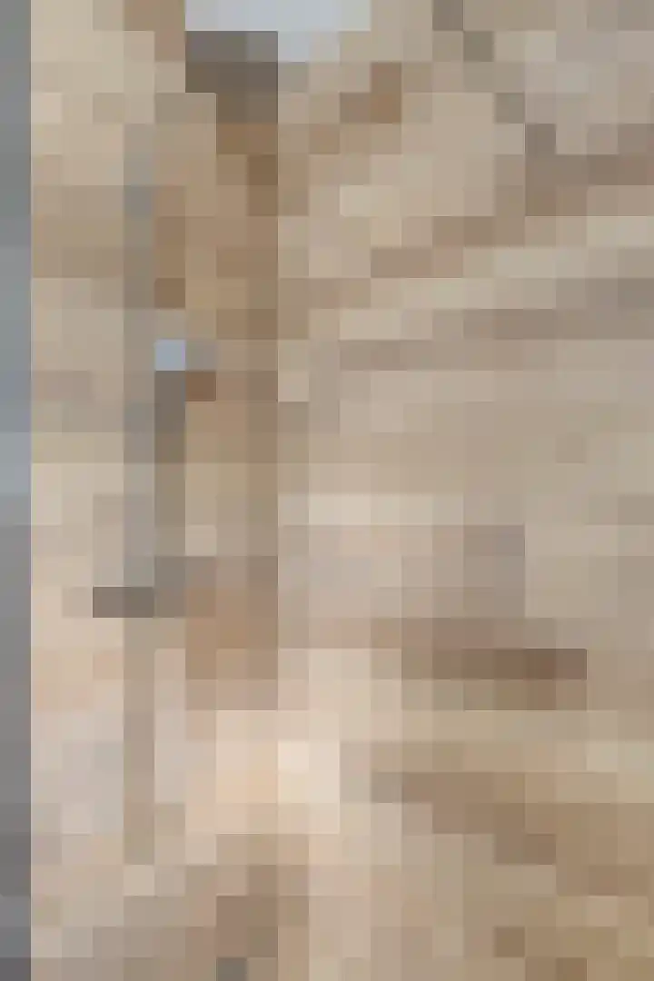 Grassteppe 2 Eindhoven thumbnail 30