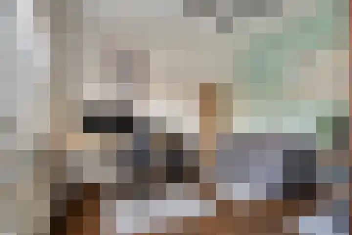 Grassteppe 2 Eindhoven thumbnail 31