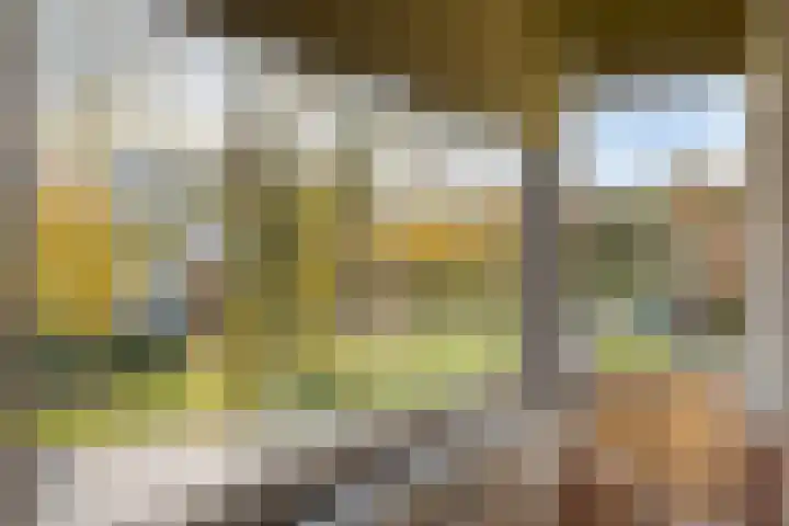 Grassteppe 2 Eindhoven thumbnail 35