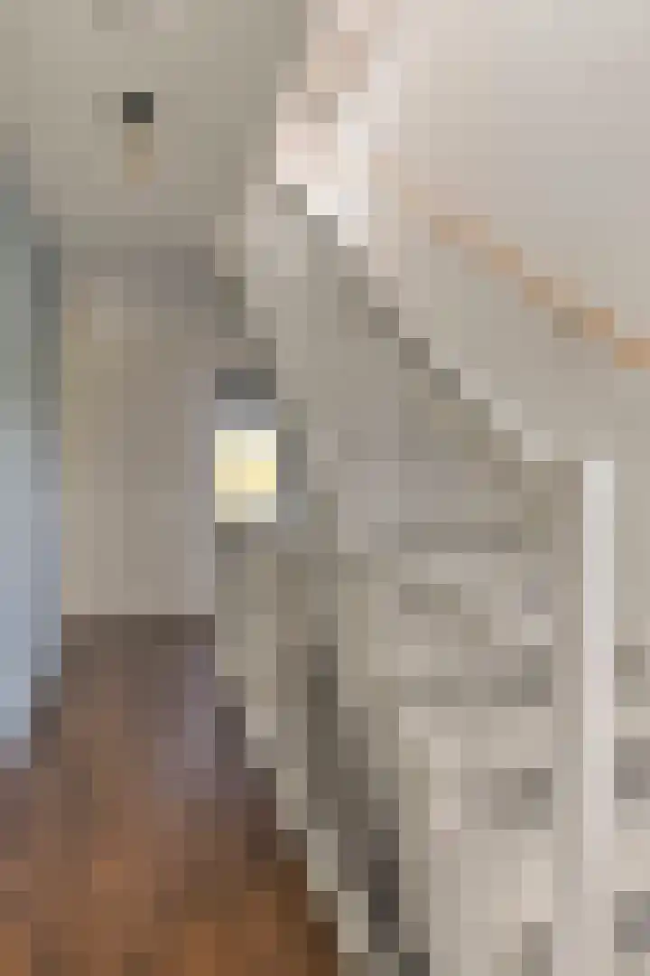 Grassteppe 2 Eindhoven thumbnail 36