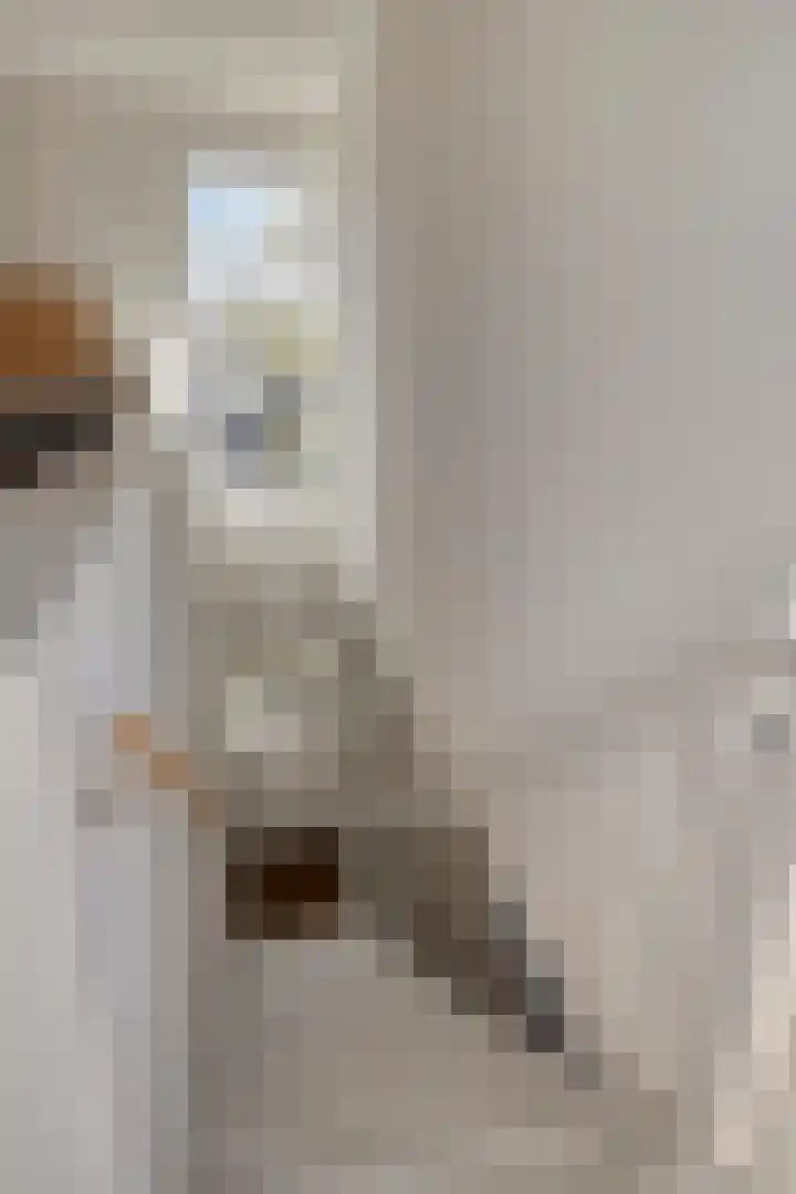 Grassteppe 2 Eindhoven thumbnail 37