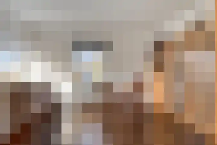 Grassteppe 2 Eindhoven thumbnail 39