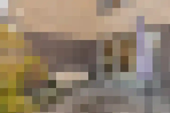 Grassteppe 2 Eindhoven thumbnail 40