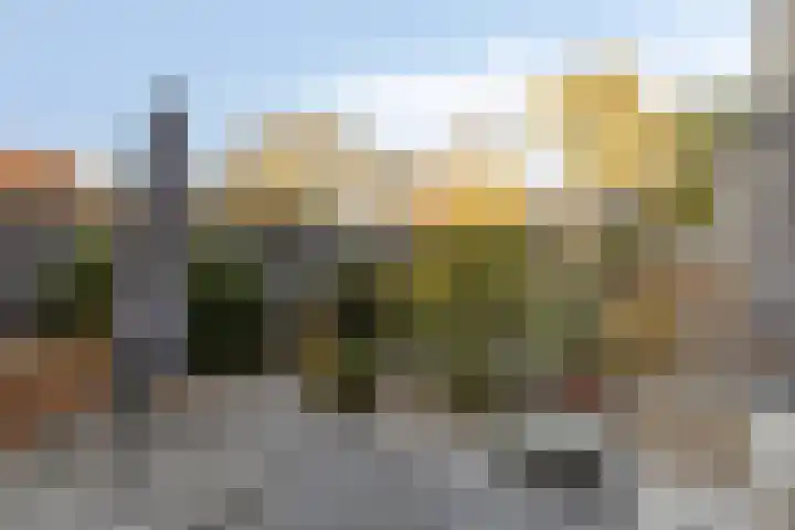 Grassteppe 2 Eindhoven thumbnail 41