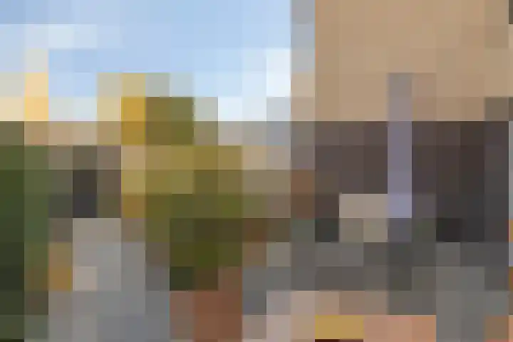 Grassteppe 2 Eindhoven thumbnail 42
