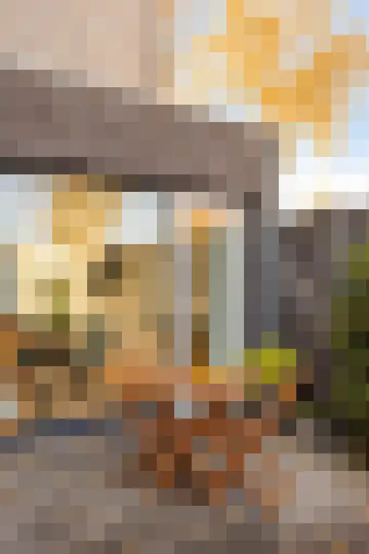 Grassteppe 2 Eindhoven thumbnail 43