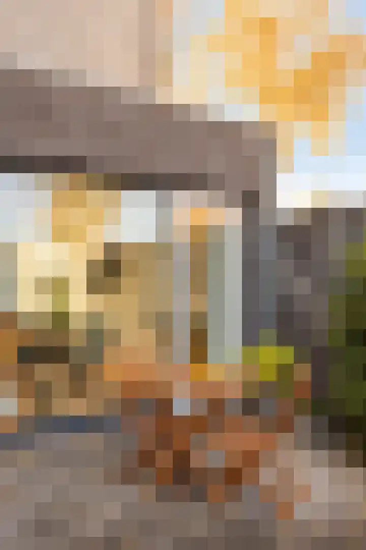 Grassteppe 2 Eindhoven thumbnail 44