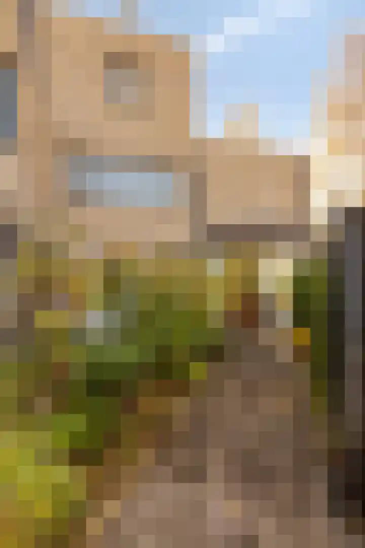 Grassteppe 2 Eindhoven thumbnail 45