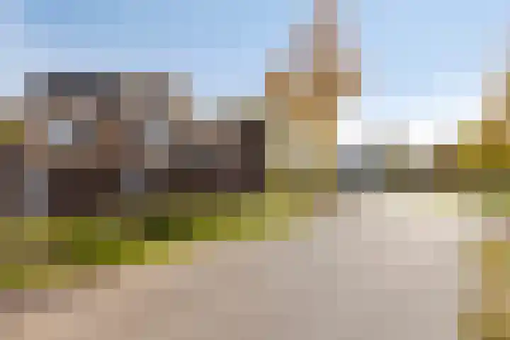 Grassteppe 2 Eindhoven thumbnail 46