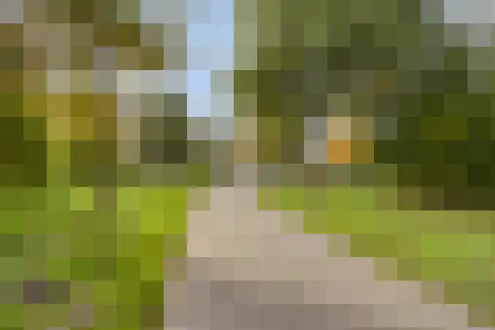 Grassteppe 2 Eindhoven thumbnail 47
