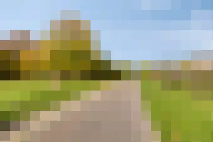 Grassteppe 2 Eindhoven thumbnail 48