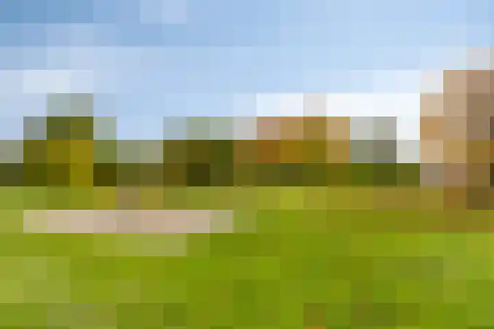 Grassteppe 2 Eindhoven thumbnail 49