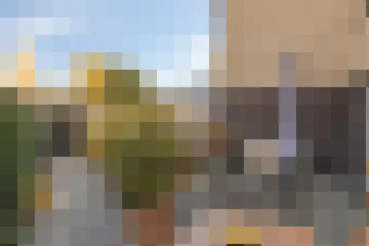 Grassteppe 2 Eindhoven thumbnail 5