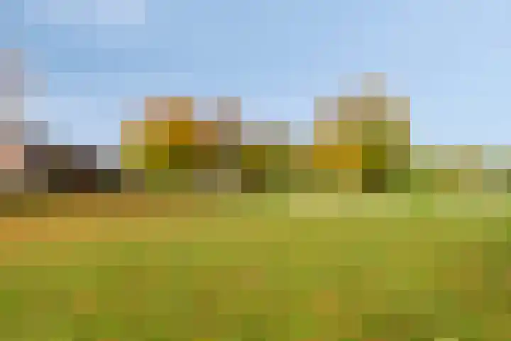 Grassteppe 2 Eindhoven thumbnail 50