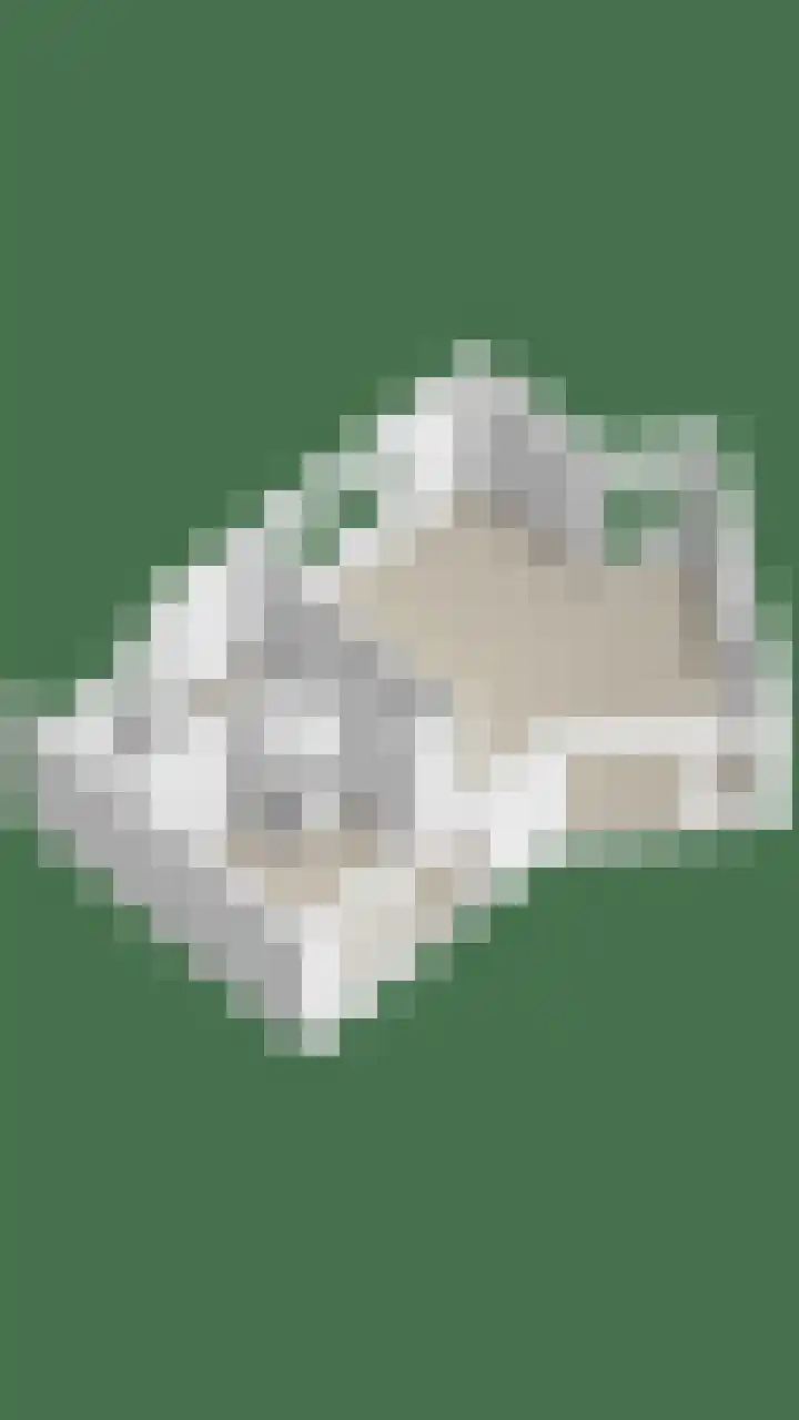 Grassteppe 2 Eindhoven thumbnail 55