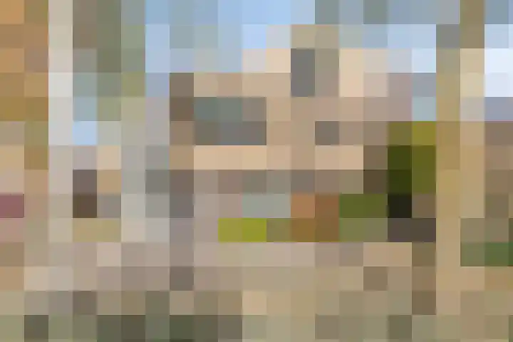 Grassteppe 2 Eindhoven thumbnail 6
