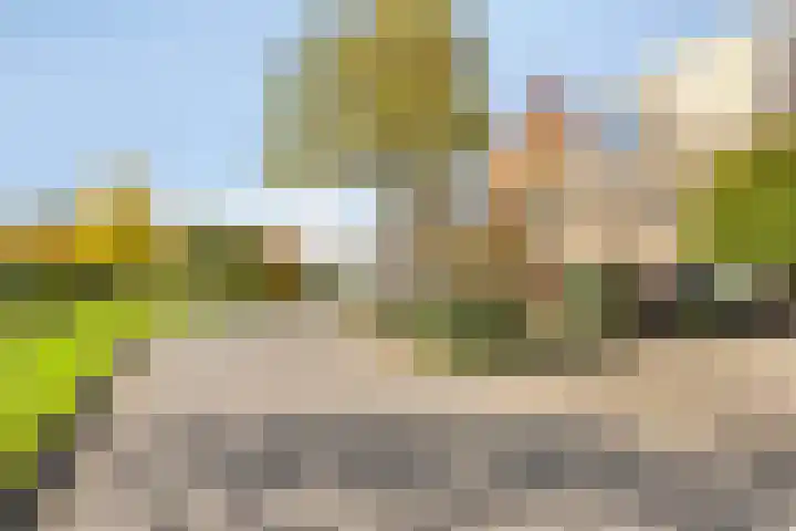 Grassteppe 2 Eindhoven thumbnail 8
