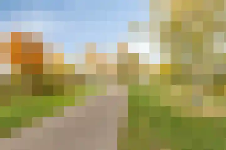 Grassteppe 2 Eindhoven thumbnail 9