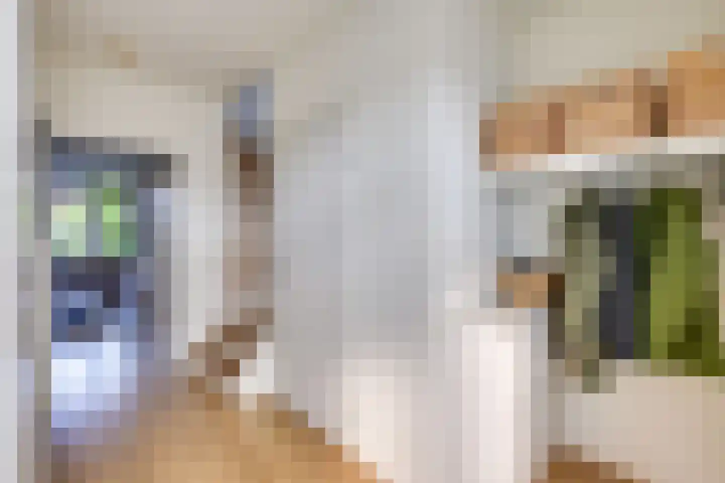 Grassteppe 64 Eindhoven thumbnail 14