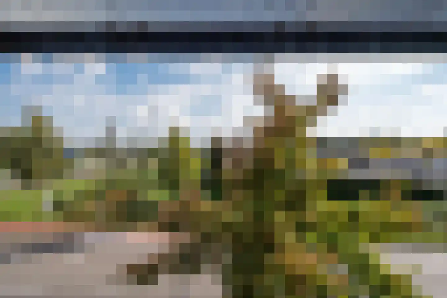 Grassteppe 64 Eindhoven thumbnail 27