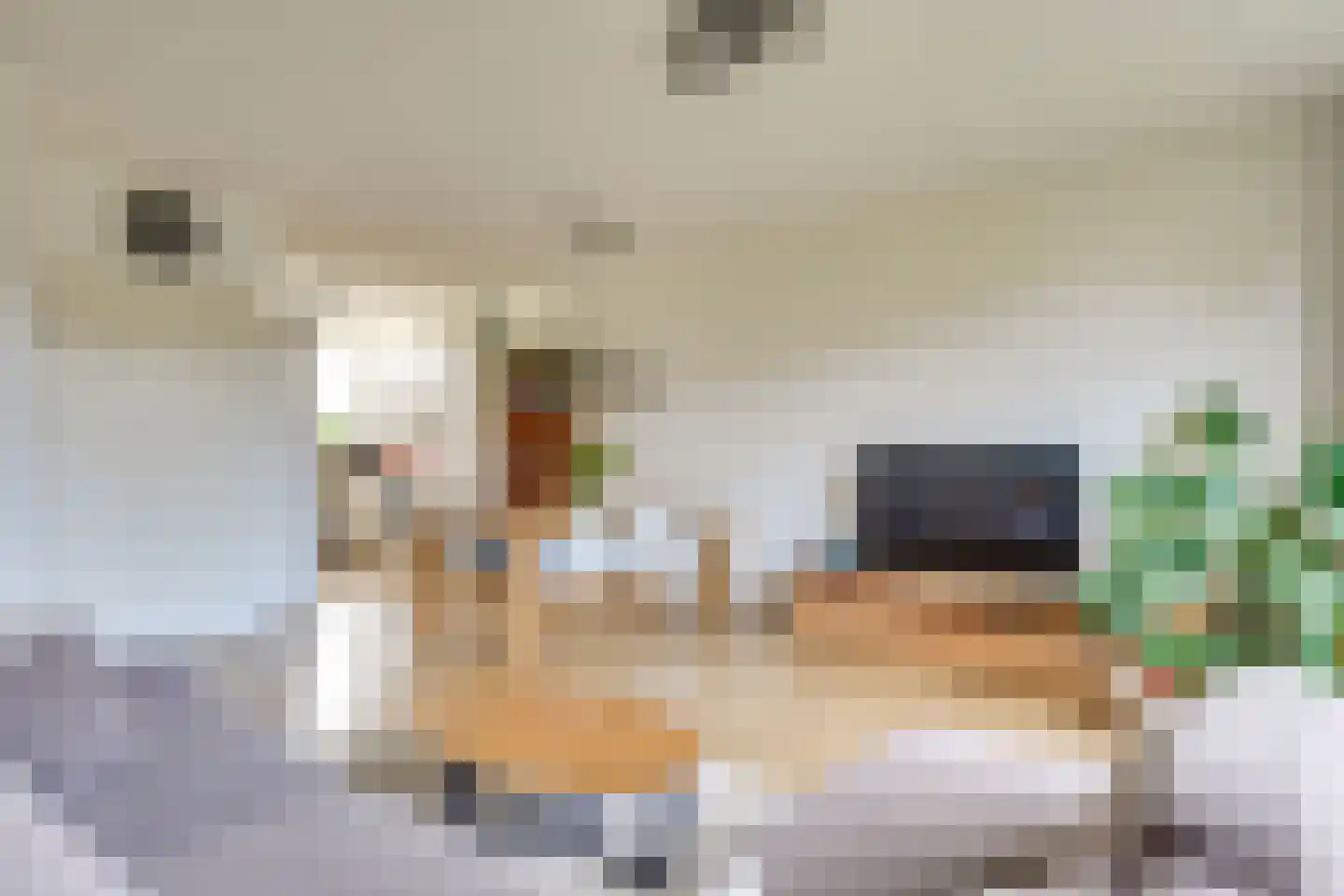 Grassteppe 64 Eindhoven thumbnail 4
