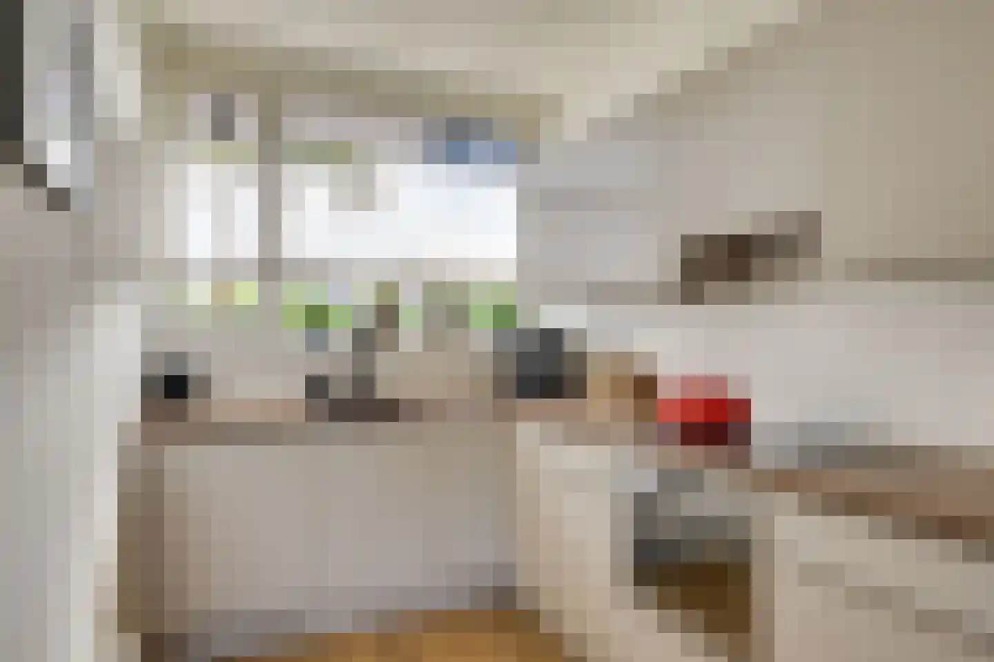 Grassteppe 64 Eindhoven thumbnail 7