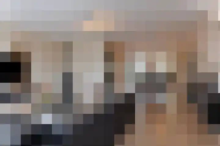 Grasstrook 40 Eindhoven thumbnail 11